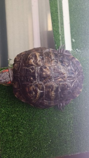 photo_2024-01-21_16-09-46 (2).jpg