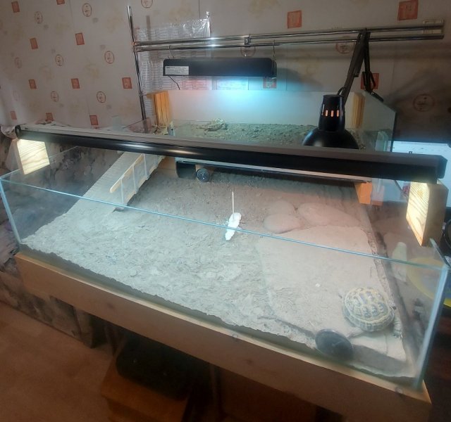 20240130_133249 — копия.jpg