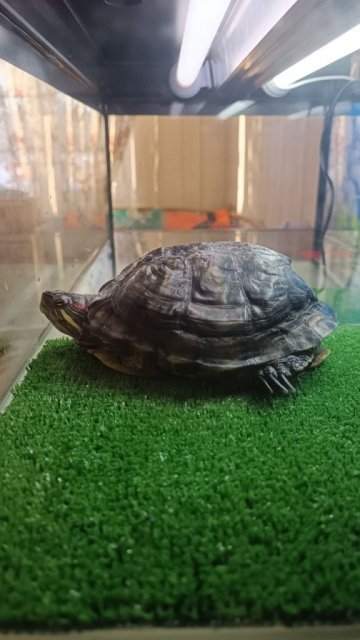 photo_2024-01-21_16-09-46 (3).jpg