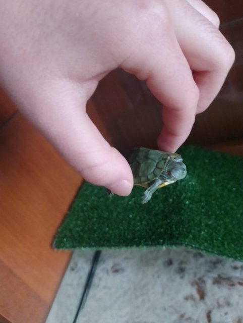 WhatsApp Image 2024-01-24 at 15.44.12.jpeg