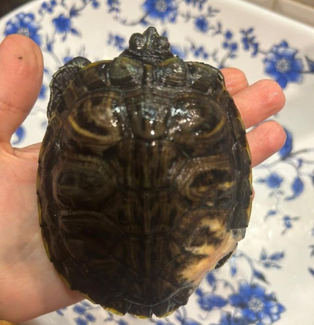 WhatsApp Image 2024-01-13 at 17.50.34.jpeg