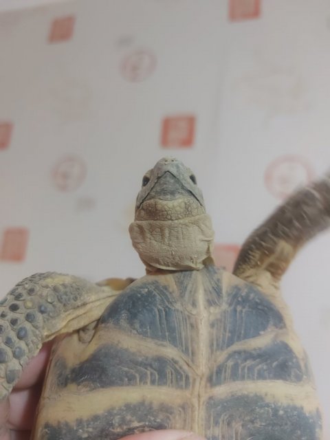 20240130_133404 — копия.jpg