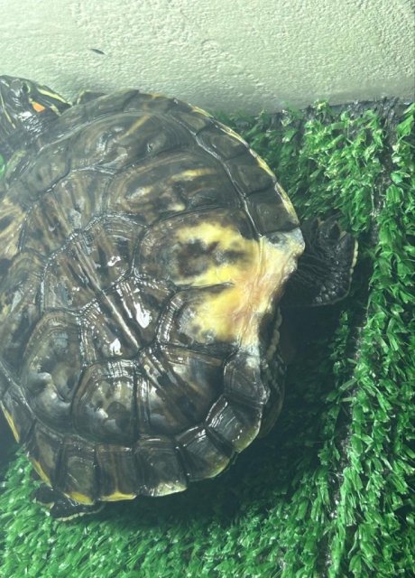 WhatsApp Image 2024-01-13 at 16.45.56 (1).jpeg