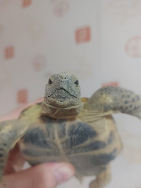 20240130_133351 — копия.jpg