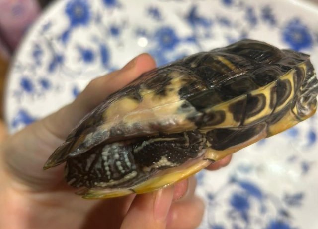 WhatsApp Image 2024-01-13 at 17.50.51.jpeg