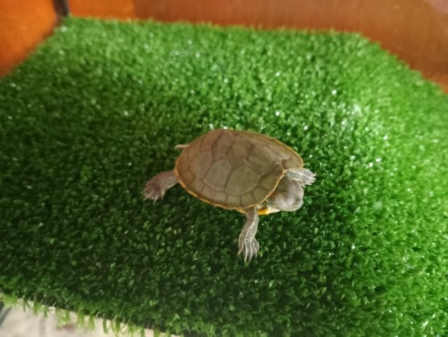 WhatsApp Image 2024-01-24 at 15.44.11.jpeg