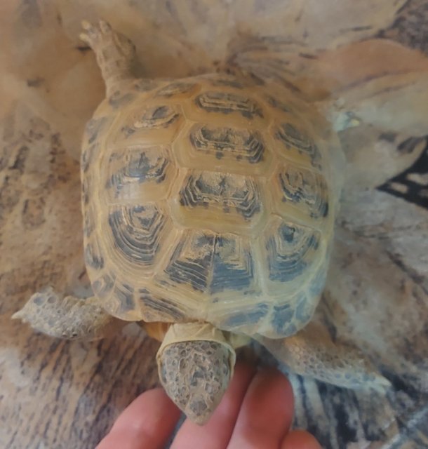 20240130_133414 — копия.jpg