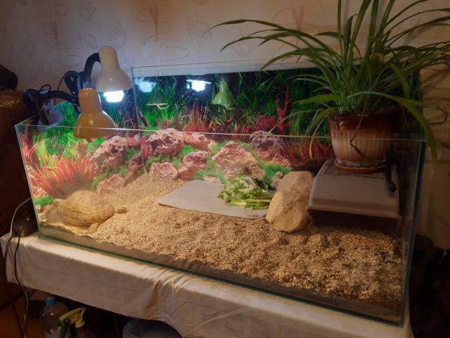 Изображение WhatsApp 2024-01-22 в 23.04.30_9477c92f.jpg