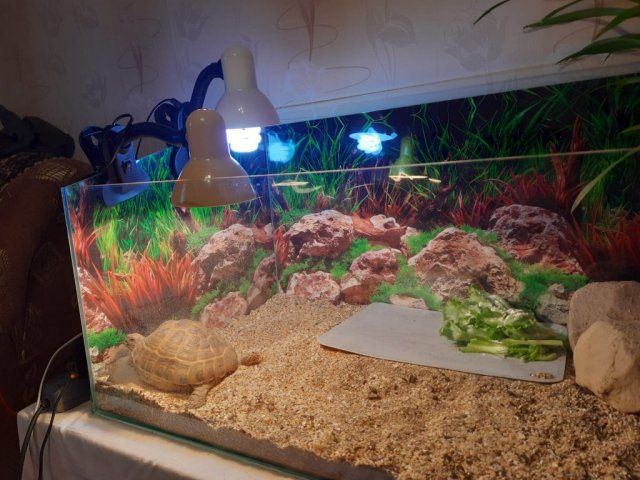 Изображение WhatsApp 2024-01-22 в 23.04.30_747c3b71.jpg