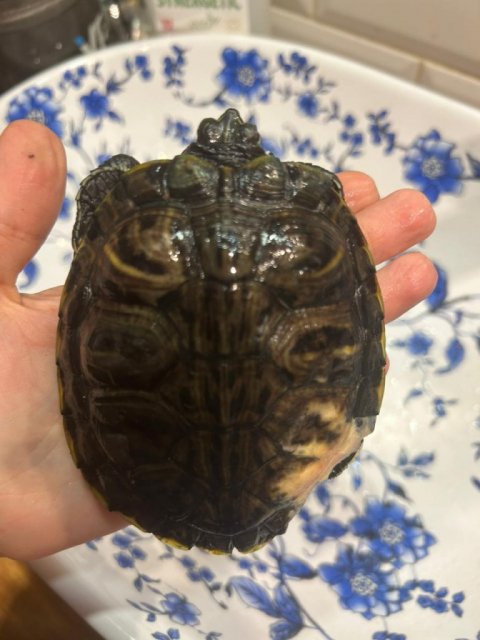 WhatsApp Image 2024-01-13 at 17.50.15.jpeg