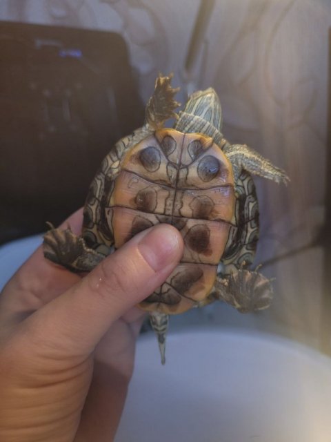 photo_2024-02-09_11-34-18 (3).jpg