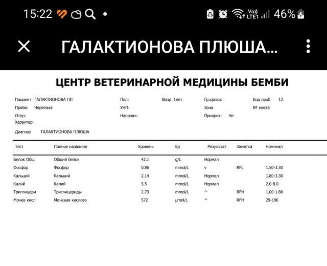 Screenshot_20240325_152250_Yandex Mail.jpg