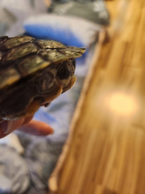 WhatsApp Image 2024-03-29 at 22.05.20.jpeg