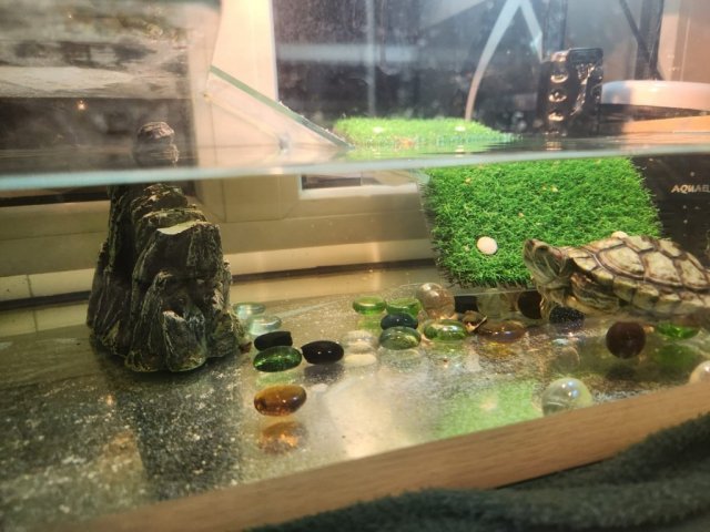 WhatsApp Image 2024-03-29 at 22.05.19 (1).jpeg