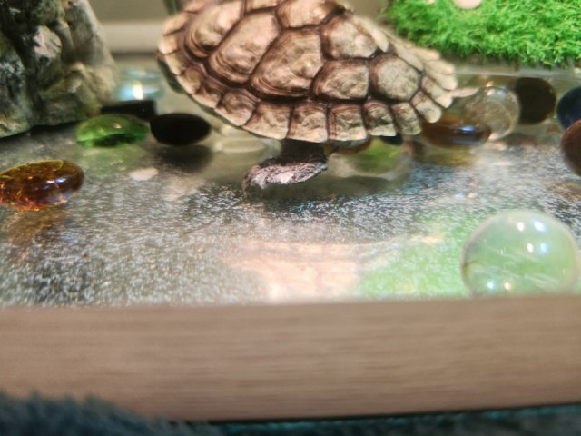 WhatsApp Image 2024-03-29 at 22.05.19.jpeg