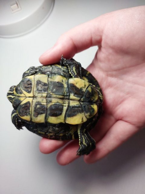 photo1714224346 (1).jpeg