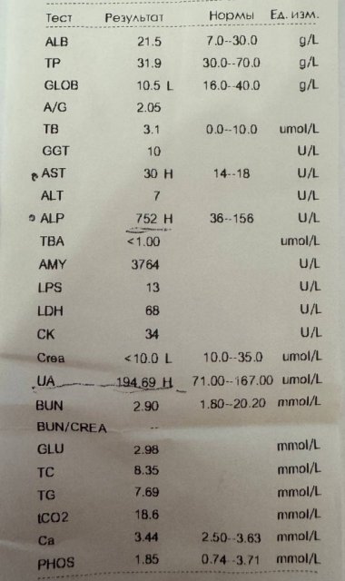 Анализы.jpg