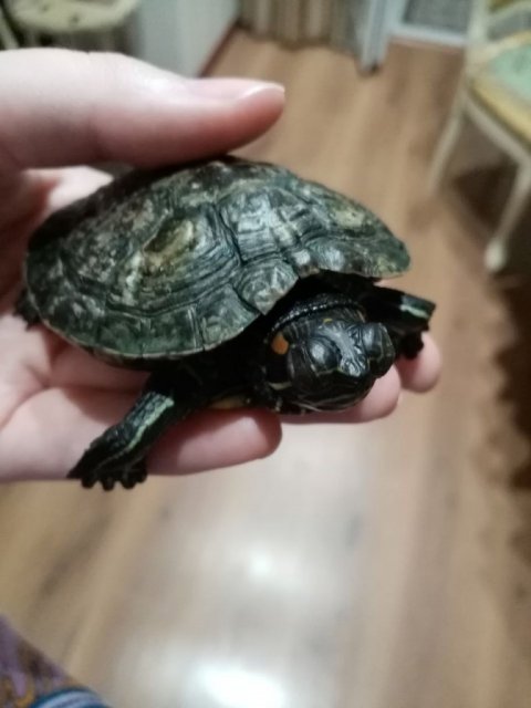 photo1714156055 (2).jpeg