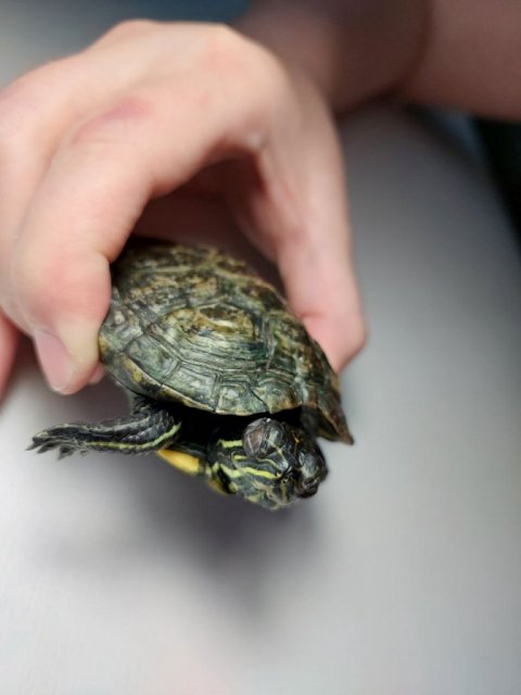 photo1714224255 (1).jpeg