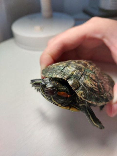 photo1714224255 (2).jpeg