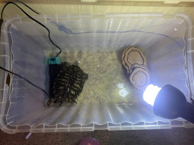 photo_2024-04-29 19.48.42.jpeg