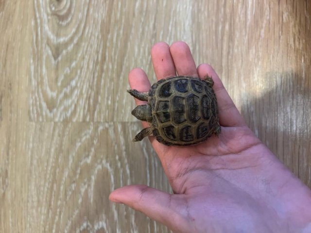 photo_2024-04-13_19-30-58 (2).jpg