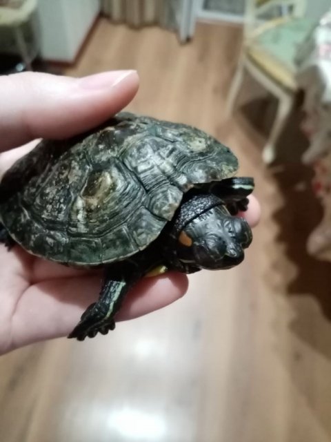 photo1714156055 (1).jpeg