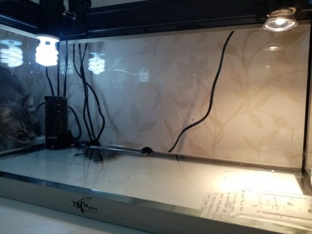 photo1714212412 (1).jpeg