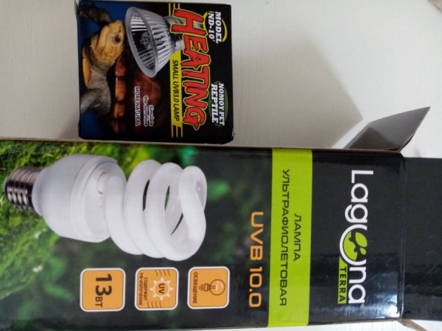 photo1714212412 (2).jpeg