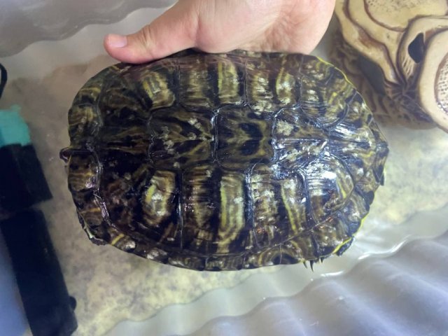 photo_2024-04-29 19.48.48.jpeg