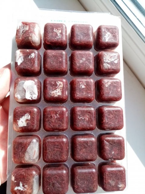 photo1714212412 (5).jpeg