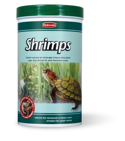 shrimps.jpg.a3b9aa6387e9646a7429151905ed8d5d.jpg