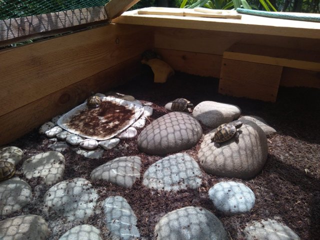 WhatsApp Image 2024-05-20 at 13.25.42.jpeg