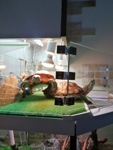 1 До изменений(верхний).jpg