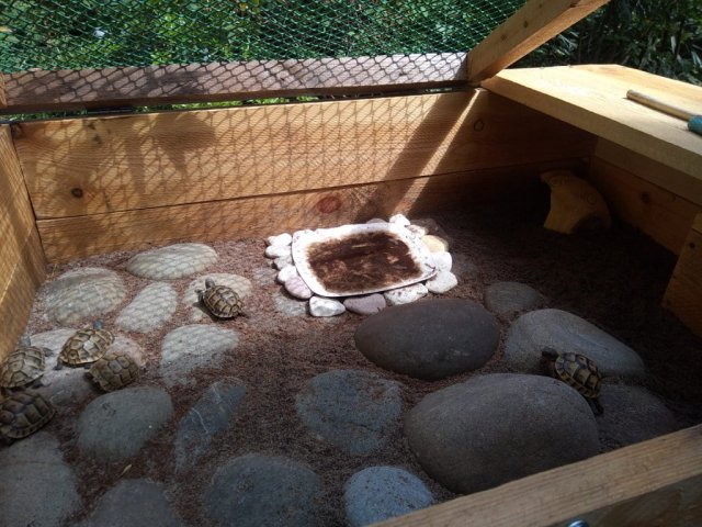 WhatsApp Image 2024-05-16 at 21.48.42.jpeg