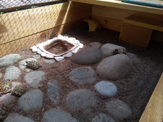 WhatsApp Image 2024-05-16 at 21.48.43.jpeg