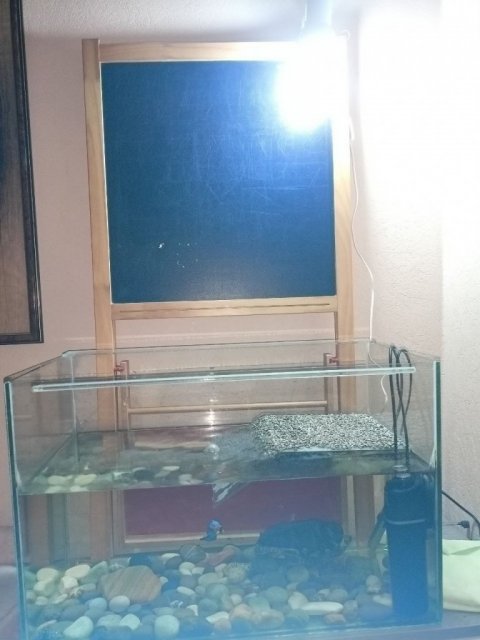 photo1715401554 (1).jpeg