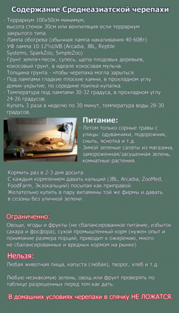 Памятка новая.png