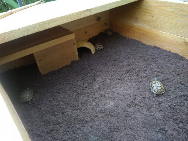 WhatsApp Image 2024-05-04 at 21.36.13.jpeg