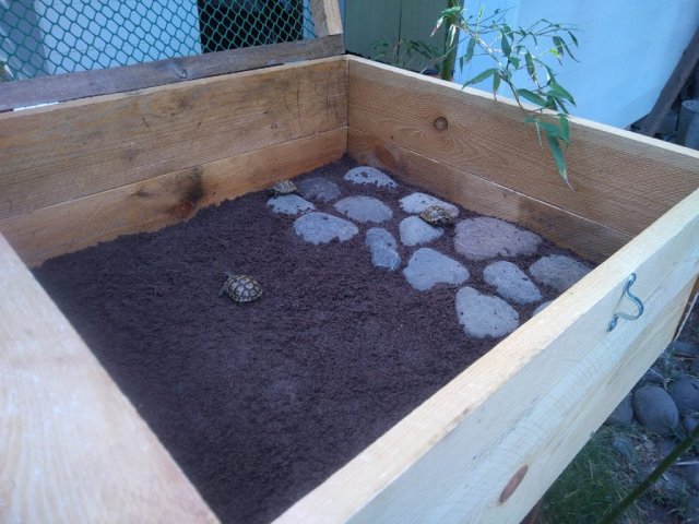 WhatsApp Image 2024-05-04 at 21.36.12.jpeg