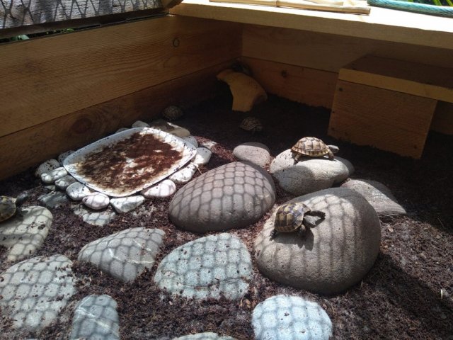 WhatsApp Image 2024-05-20 at 13.25.46.jpeg