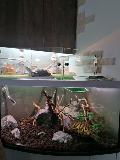 1 Условия.jpg