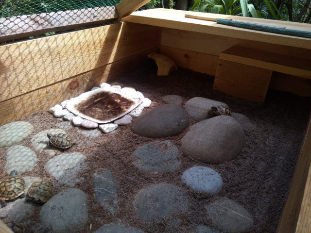 WhatsApp Image 2024-05-16 at 21.48.41.jpeg