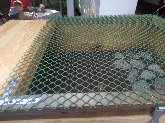 WhatsApp Image 2024-05-04 at 21.36.14.jpeg