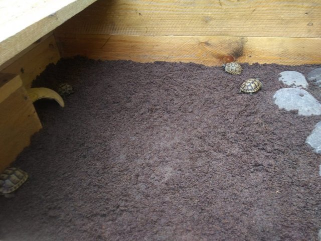 WhatsApp Image 2024-05-04 at 21.36.11.jpeg