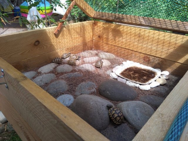 WhatsApp Image 2024-05-16 at 21.48.47.jpeg