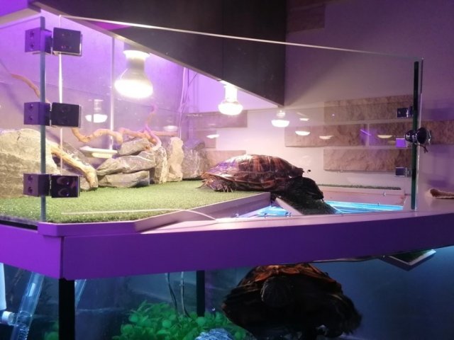 Сейчас, решил попить не слезая с острова.jpg