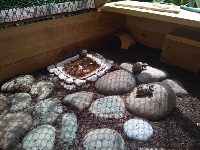 WhatsApp Image 2024-05-20 at 13.25.43.jpeg