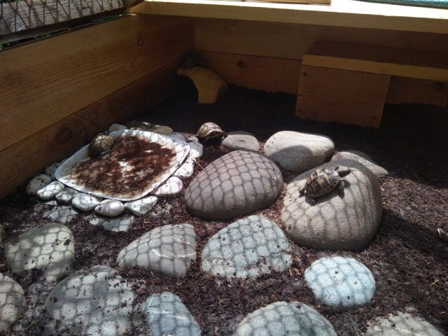 WhatsApp Image 2024-05-20 at 13.25.41.jpeg