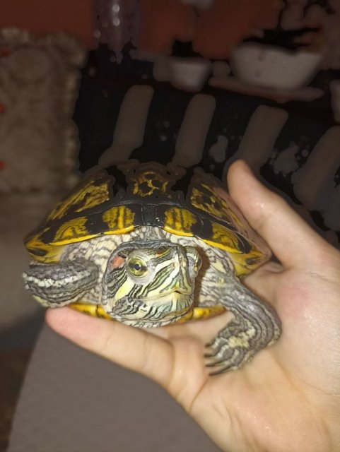 photo_2024-06-07_12-26-37 (2).jpg